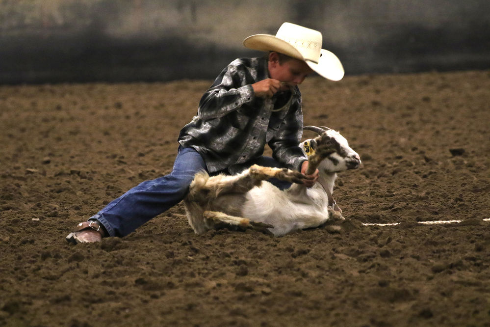Youth Rodeo